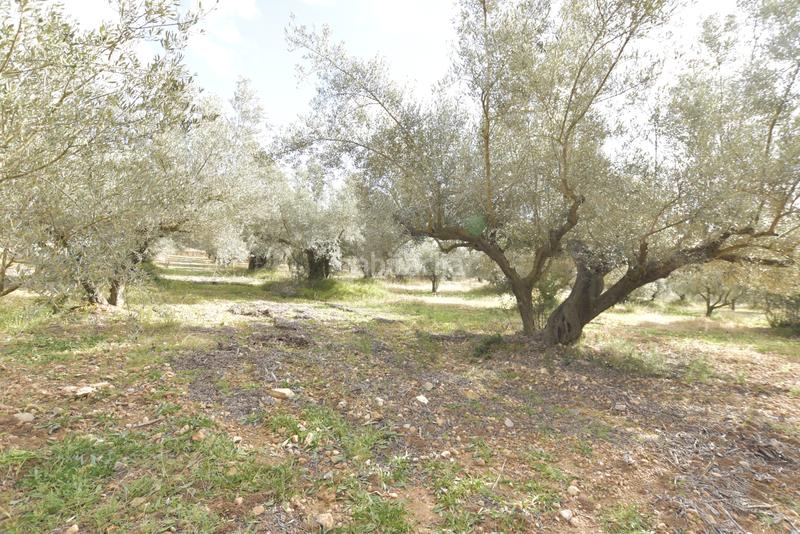 Foto 289e7337-e3fe-4cc4-ad5e-2181712c2069. Haus in Jérica Foto 289e7337-e3fe-4cc4-ad5e-2181712c2069. Haus in Jérica