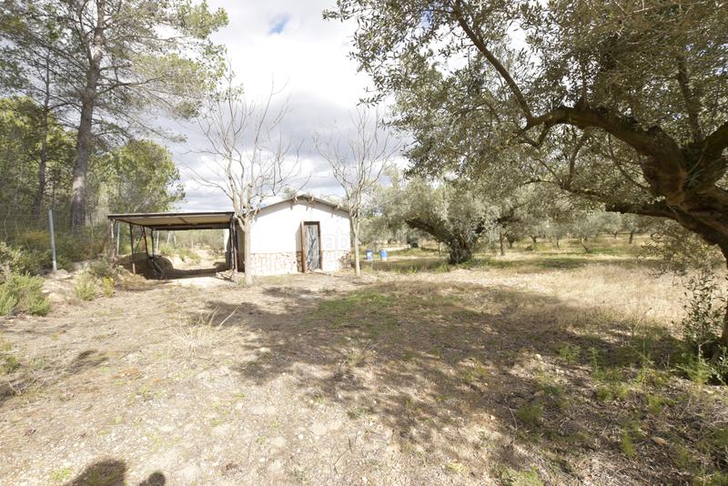 Foto 2adf4932-53bc-4a8f-ab4b-407be76fa46c. Haus in Jérica Foto 2adf4932-53bc-4a8f-ab4b-407be76fa46c. Haus in Jérica