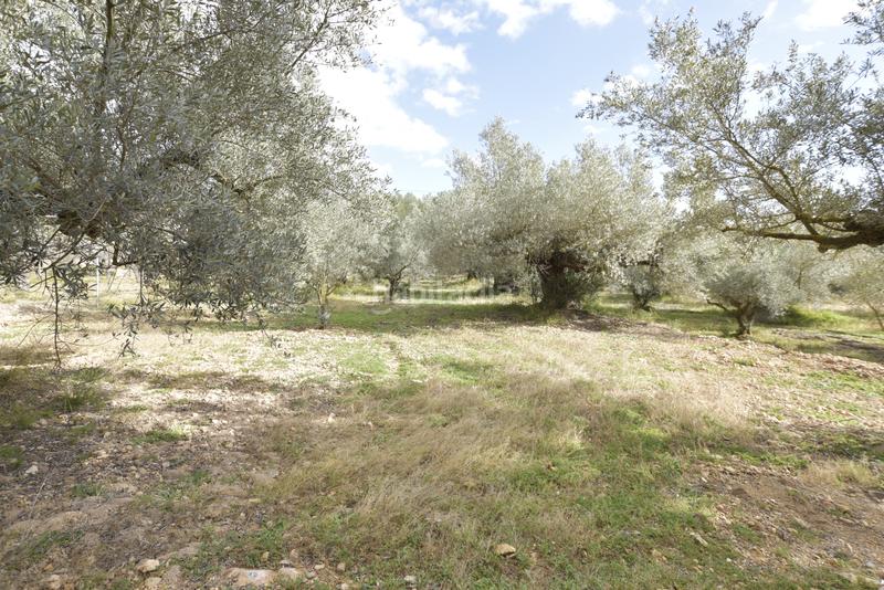 Foto 2b227c93-ad45-4589-8569-e80f28b5ba0f. Haus in Jérica Foto 2b227c93-ad45-4589-8569-e80f28b5ba0f. Haus in Jérica