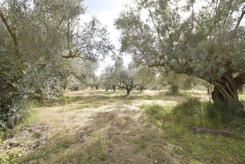 Foto 525a0512-1e73-423f-a09b-c6a6aaa56ae3. Haus in Jérica Foto 525a0512-1e73-423f-a09b-c6a6aaa56ae3. Haus in Jérica