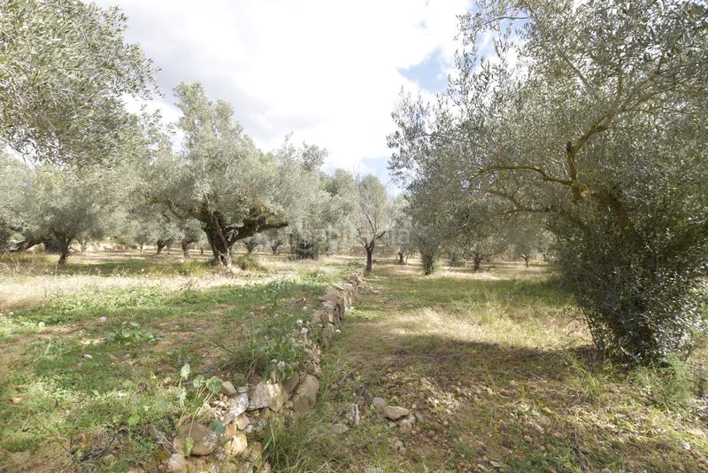 Foto 7bd653cf-35c4-458b-8886-97440ee5b23b. Haus in Jérica Foto 7bd653cf-35c4-458b-8886-97440ee5b23b. Haus in Jérica