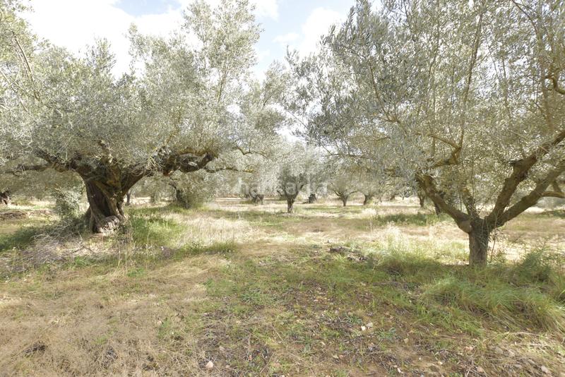 Foto 7fe924b7-fe37-4cb1-926d-3fae471fc296. Haus in Jérica Foto 7fe924b7-fe37-4cb1-926d-3fae471fc296. Haus in Jérica