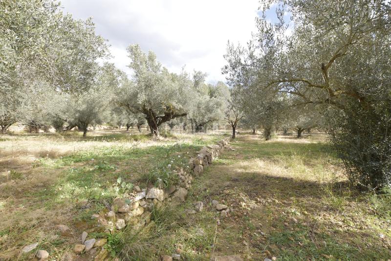 Foto c5912915-45ff-4ebb-bf76-f5778da2ba39. Haus in Jérica Foto c5912915-45ff-4ebb-bf76-f5778da2ba39. Haus in Jérica