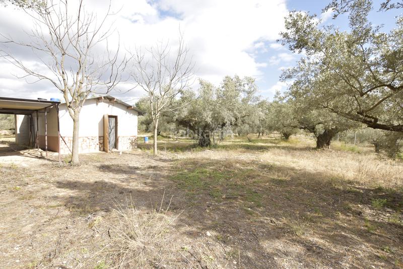 Foto ebe769c8-8897-4be0-aea0-896234a1ac23. Haus in Jérica Foto ebe769c8-8897-4be0-aea0-896234a1ac23. Haus in Jérica