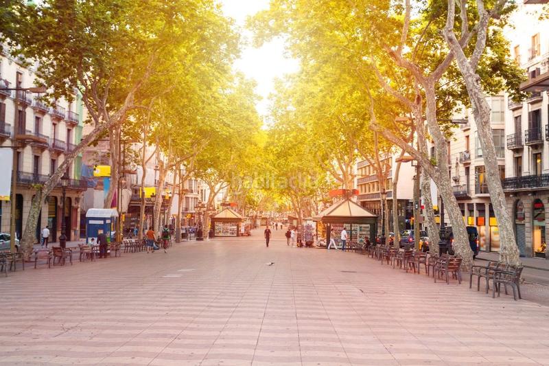 Foto a70bf4e9-3234-4c7f-8ee1-5a2dcbaca2c4. Umzug geschäftsraum mit heizung in Dreta de l´Eixample Barcelona Foto a70bf4e9-3234-4c7f-8ee1-5a2dcbaca2c4. Umzug geschäftsraum mit heizung in Dreta de l´Eixample Barcelona
