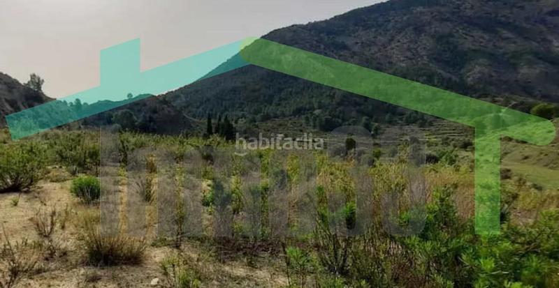 Foto b41018a3-3da4-4e0c-87f7-e53f4ce57a7d. Terreno residencial en Orxeta Foto b41018a3-3da4-4e0c-87f7-e53f4ce57a7d. Terreno residencial en Orxeta