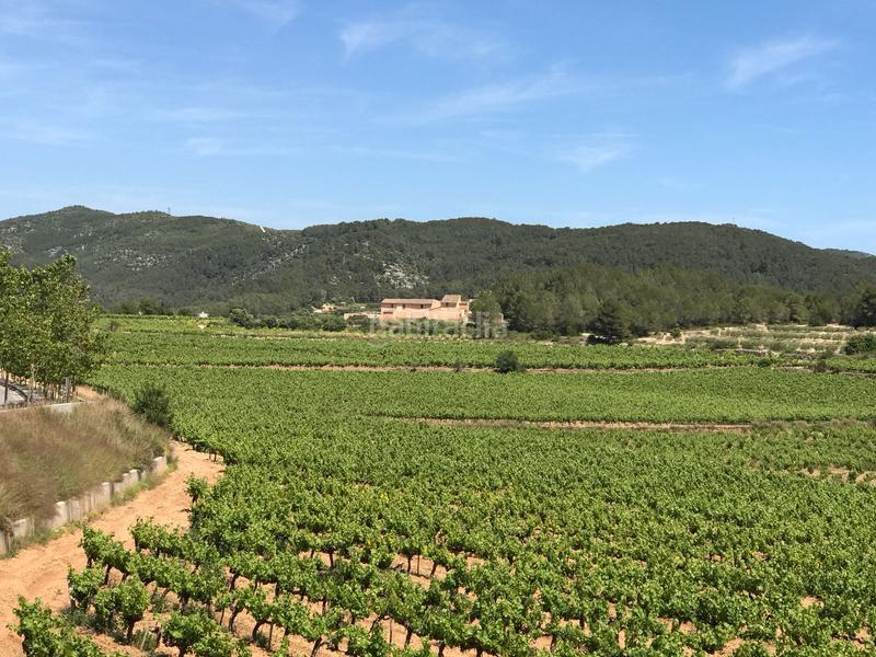 Foto 0c680b9e-acaf-488a-89e0-fe0f042aaa02. Masia a Centre Sant Pere de Ribes Foto 0c680b9e-acaf-488a-89e0-fe0f042aaa02. Masia a Centre Sant Pere de Ribes