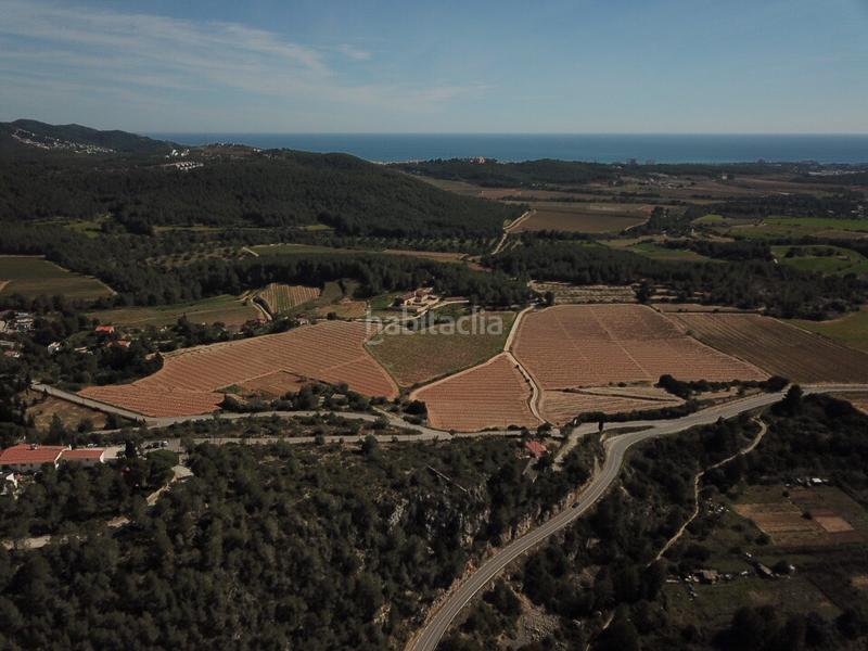 Foto 87471c65-4b57-442a-a70a-a0cf5d86ba8a. Masia a Centre Sant Pere de Ribes Foto 87471c65-4b57-442a-a70a-a0cf5d86ba8a. Masia a Centre Sant Pere de Ribes