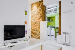 Alquiler Apartamento en Embajadores-Lavapiés Alquiler Apartamento en Embajadores-Lavapiés
