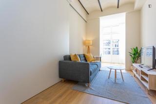Rent Apartment in Dreta de l´Eixample Rent Apartment in Dreta de l´Eixample