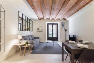 Rent Apartment in St. Pere - Sta. Caterina - El Born Rent Apartment in St. Pere - Sta. Caterina - El Born