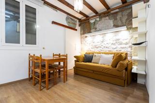 Lloguer Apartament a St. Pere - Sta. Caterina - El Born Lloguer Apartament a St. Pere - Sta. Caterina - El Born