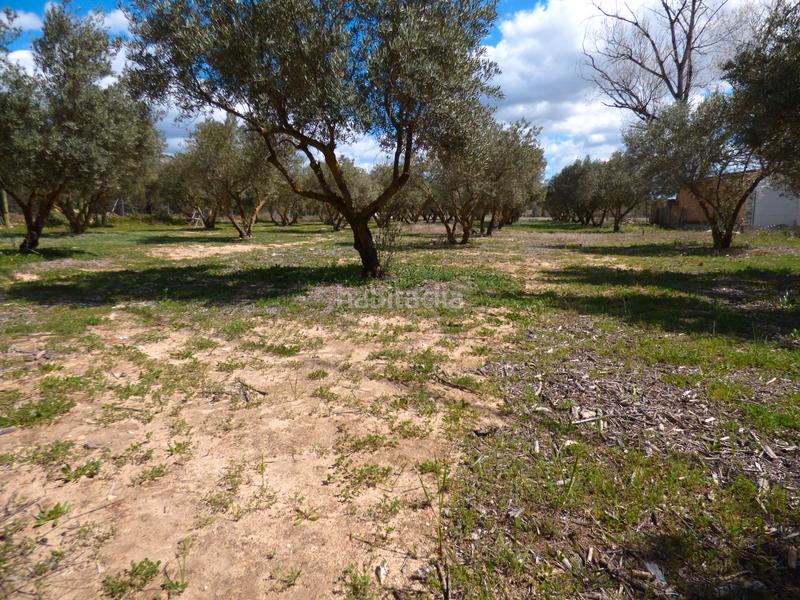Foto c198c267-81f5-410b-aafa-7e541929740e. Finca rústica a carrer portal 11 a Onil Foto c198c267-81f5-410b-aafa-7e541929740e. Finca rústica a carrer portal 11 a Onil