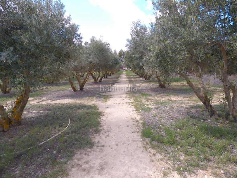 Foto e6e047de-ce62-4775-88c6-528432401732. Finca rústica a carrer portal 11 a Onil Foto e6e047de-ce62-4775-88c6-528432401732. Finca rústica a carrer portal 11 a Onil
