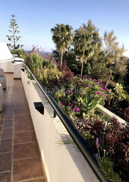 Foto d7cff1ec-1a4b-4472-9c03-0ce3c961da21. Rent penthouse with parking pool in lomas de Marbella club Marbella Foto d7cff1ec-1a4b-4472-9c03-0ce3c961da21. Rent penthouse with parking pool in lomas de Marbella club Marbella