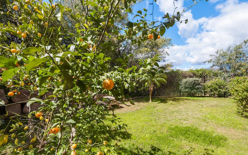 Foto befd7bd2-d982-46b4-871b-de7d9d4f2a2b. Planta baixa amb aparcament piscina a La Alquería Benahavís Foto befd7bd2-d982-46b4-871b-de7d9d4f2a2b. Planta baixa amb aparcament piscina a La Alquería Benahavís