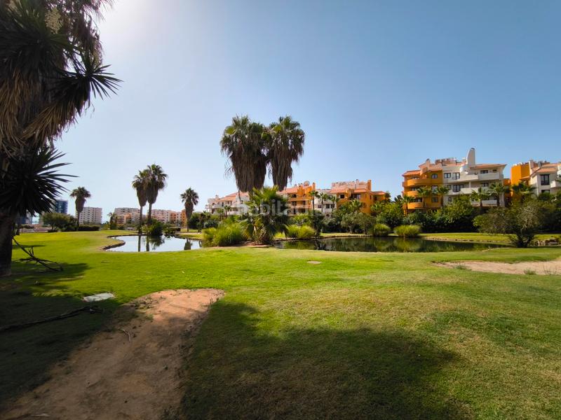 Foto 982dea92-6cf2-4b8e-8f21-d21f1bd6404a. Dachwohnung mit parking pool in Punta Prima Torrevieja Foto 982dea92-6cf2-4b8e-8f21-d21f1bd6404a. Dachwohnung mit parking pool in Punta Prima Torrevieja