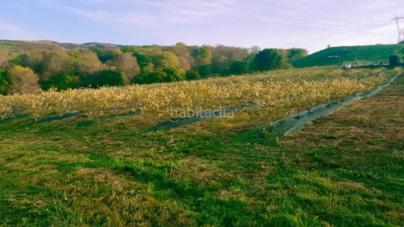 Foto 5e94c8a3-9003-4ff9-8882-4e7e56d6d880. Terreny residencial a Villafufre Foto 5e94c8a3-9003-4ff9-8882-4e7e56d6d880. Terreny residencial a Villafufre