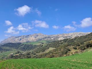 Finca rústica  Polígono 168 parcela 48 guerrero. villanueva de l. Quieres construir el hogar de tus sueños en un enclave idílico a Finca rústica  Polígono 168 parcela 48 guerrero. villanueva de l. Quieres construir el hogar de tus sueños en un enclave idílico a