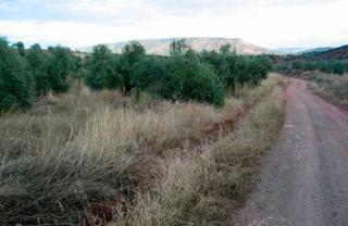 Finca rústica a Santa Elena. Venta de suelo rustico Finca rústica a Santa Elena. Venta de suelo rustico