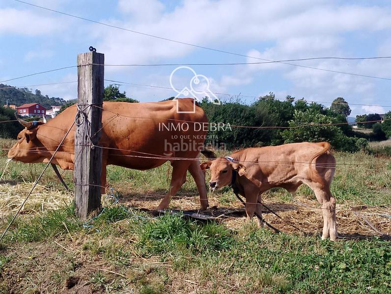 Foto 41b1b9c0-c18f-4918-9603-4fd0afa05d12. Casa amb calefacció aparcament a Cudillero Foto 41b1b9c0-c18f-4918-9603-4fd0afa05d12. Casa amb calefacció aparcament a Cudillero