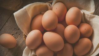 Location Propriété à Riudecols Location Propriété à Riudecols