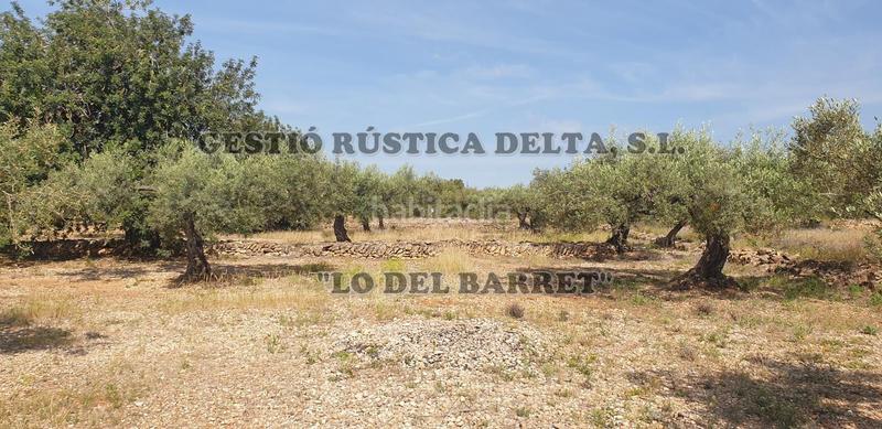 Foto 03eced65-2495-4ea8-900b-6d8669b7ba2a. Finca rústica a Camarles Foto 03eced65-2495-4ea8-900b-6d8669b7ba2a. Finca rústica a Camarles