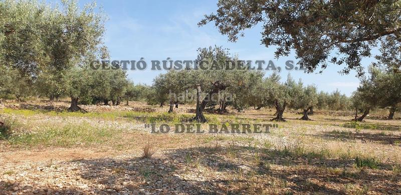 Foto 0d208f15-cb8e-43d9-860b-0c95f444dd50. Finca rústica a Camarles Foto 0d208f15-cb8e-43d9-860b-0c95f444dd50. Finca rústica a Camarles