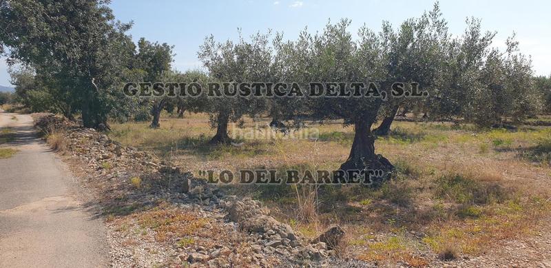 Foto 4e4094c1-2d67-43b7-ada1-ac4a3a0ff234. Finca rústica a Camarles Foto 4e4094c1-2d67-43b7-ada1-ac4a3a0ff234. Finca rústica a Camarles