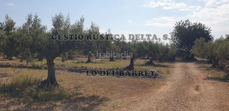 Foto af18b0ab-d2d3-4716-949f-c63edfe13438. Finca rústica a Camarles Foto af18b0ab-d2d3-4716-949f-c63edfe13438. Finca rústica a Camarles