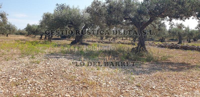 Foto da959f13-5c56-4445-b5d8-31ac34878e3b. Finca rústica a Camarles Foto da959f13-5c56-4445-b5d8-31ac34878e3b. Finca rústica a Camarles