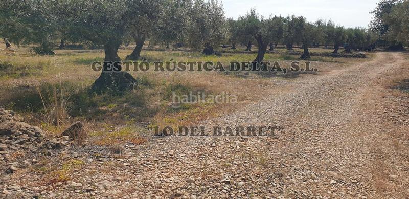 Foto e9a9a734-585c-4245-bc7c-ba669b14a3c8. Finca rústica a Camarles Foto e9a9a734-585c-4245-bc7c-ba669b14a3c8. Finca rústica a Camarles