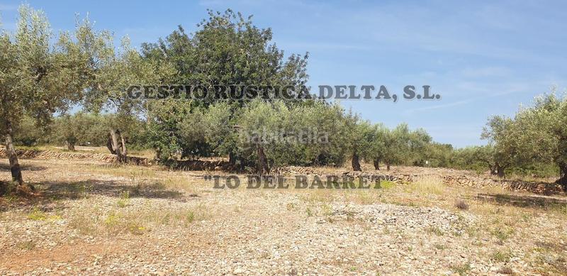 Foto f172c280-ce42-4d4a-a561-0737a9eac687. Finca rústica a Camarles Foto f172c280-ce42-4d4a-a561-0737a9eac687. Finca rústica a Camarles