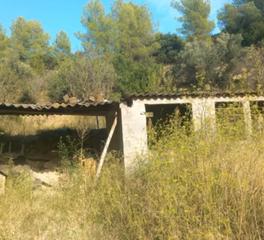 Finca rústica en C-55 1. Venta aplazada , terreno Finca rústica en C-55 1. Venta aplazada , terreno