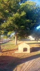 Casa  Calle del hospital 30. Casa de campo con terreno urbanizable en elche Casa  Calle del hospital 30. Casa de campo con terreno urbanizable en elche