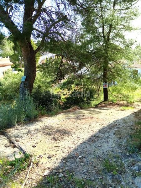 Foto 3e0745a8-1d85-45c7-a9dd-ff3571740bf3. Terreny residencial a Pino Alto Miami Platja Foto 3e0745a8-1d85-45c7-a9dd-ff3571740bf3. Terreny residencial a Pino Alto Miami Platja