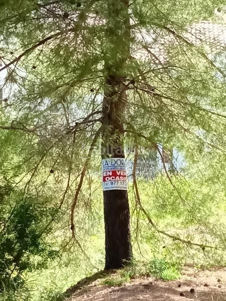 Foto 4a90c41d-2d2d-4e60-a4b3-7d253ac93154. Terreny residencial a Pino Alto Miami Platja Foto 4a90c41d-2d2d-4e60-a4b3-7d253ac93154. Terreny residencial a Pino Alto Miami Platja