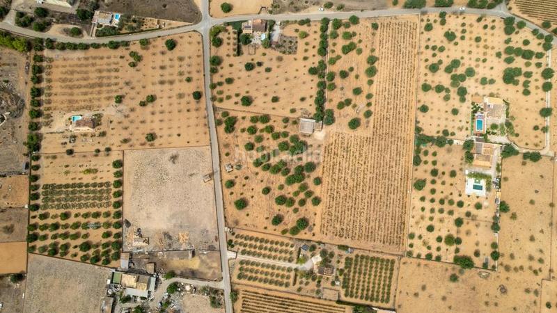 Foto 284b963c-8c95-475b-b97b-b912e1b85650. Rural plot in Consell Foto 284b963c-8c95-475b-b97b-b912e1b85650. Rural plot in Consell