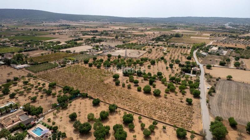 Foto 3a9b2e45-fcbf-4513-a6ae-c72dade9811b. Rural plot in Consell Foto 3a9b2e45-fcbf-4513-a6ae-c72dade9811b. Rural plot in Consell