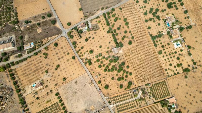 Foto 3c1b3642-f641-471e-8e1a-861fe6e3b833. Rural plot in Consell Foto 3c1b3642-f641-471e-8e1a-861fe6e3b833. Rural plot in Consell