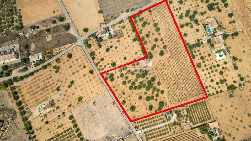 Foto 3f5247ee-075e-4cea-a202-6b1f363f6015. Rural plot in Consell Foto 3f5247ee-075e-4cea-a202-6b1f363f6015. Rural plot in Consell