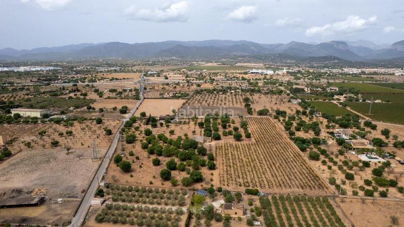 Foto 5251eac7-5ba8-427e-b663-193398bcc037. Rural plot in Consell Foto 5251eac7-5ba8-427e-b663-193398bcc037. Rural plot in Consell