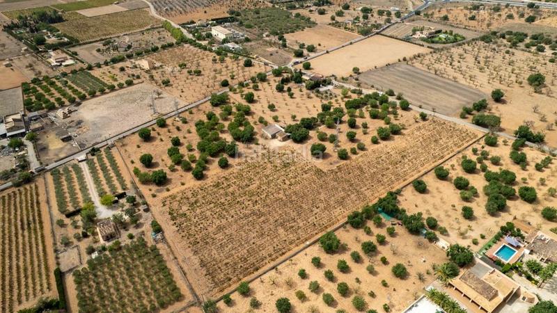 Foto 755b6a5e-89dd-4f92-966f-df4097aa99ec. Rural plot in Consell Foto 755b6a5e-89dd-4f92-966f-df4097aa99ec. Rural plot in Consell