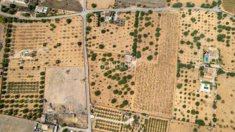 Foto 777796c6-e5bb-4ef6-8731-c176a720f4a2. Rural plot in Consell Foto 777796c6-e5bb-4ef6-8731-c176a720f4a2. Rural plot in Consell