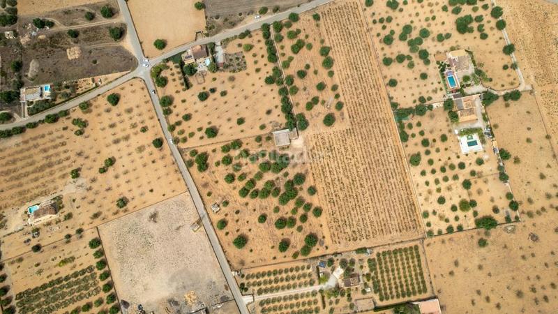 Foto 78c8a471-ddbe-439d-9b6d-c8f8ce595e64. Rural plot in Consell Foto 78c8a471-ddbe-439d-9b6d-c8f8ce595e64. Rural plot in Consell