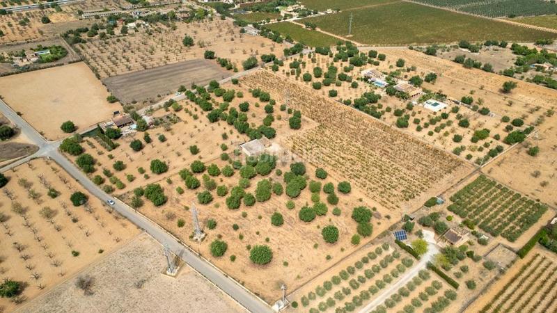 Foto 8d2d61b5-4215-48e9-877f-4c2f17a7eafe. Rural plot in Consell Foto 8d2d61b5-4215-48e9-877f-4c2f17a7eafe. Rural plot in Consell