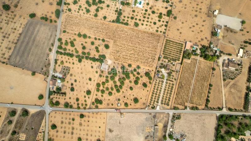 Foto 90d3dc0b-1f99-4506-ac2d-8fba4fb81dd5. Rural plot in Consell Foto 90d3dc0b-1f99-4506-ac2d-8fba4fb81dd5. Rural plot in Consell