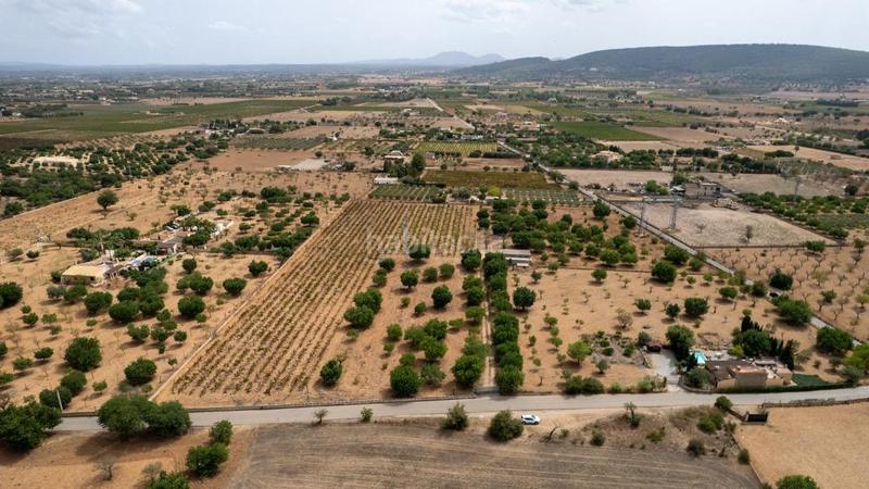 Foto 9a2f1e0f-4714-42f8-8cf8-d830e901d345. Rural plot in Consell Foto 9a2f1e0f-4714-42f8-8cf8-d830e901d345. Rural plot in Consell