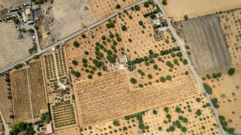 Foto b35ee50a-aa18-4ecb-afe0-055d437699f2. Rural plot in Consell Foto b35ee50a-aa18-4ecb-afe0-055d437699f2. Rural plot in Consell