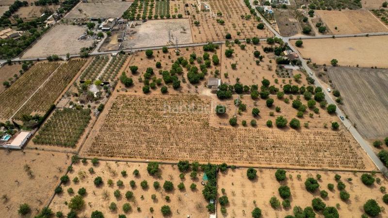 Foto c70e2917-c1eb-49dc-b24e-b89dfc8d8db7. Rural plot in Consell Foto c70e2917-c1eb-49dc-b24e-b89dfc8d8db7. Rural plot in Consell